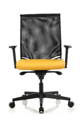 Sarı