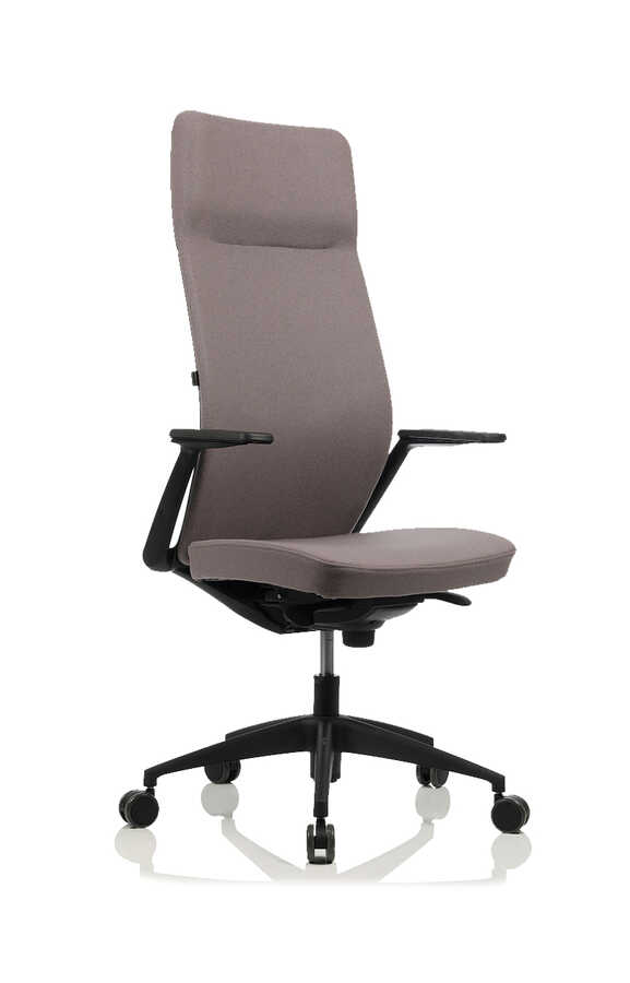 Bürosit Arc Chair Döşemeli Siyah Plastik Uzun Yönetici Koltuğu